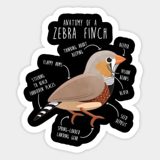 Zebra Finch Anatomy Sticker